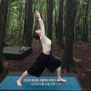 요가나무 - 동구 화랑로 413 | 요가 원데이클래스 추천 | “문창수 요가” 치유의 숲에서 편백나무향 맡으며 힐링요가 하고 온...