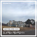 노블벨리 | 원주 오크밸리 리조트 46평 노블 밸리빌리지 모바일 체크인 후기
