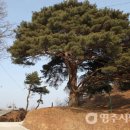 하촌1리 이미지