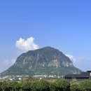 몬떼뷰스테이 | 제주도 산방산뷰 숙소 추천 몬떼뷰 몬테뷰 수영장 숙소 내돈내산