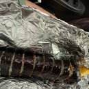 김밥랜드 | 인천 강화도 당일치기 내돈내산 후기: 서문김밥, 강화해수랜드, 강화샌드, 마호가니(데이지꽃), 서해호...