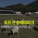 포프 | 포천 아이와 가볼만한 곳 포프 곤충 테마파크 방문후기