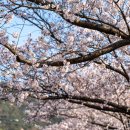 왕인박사유적지 주차장 이미지