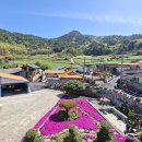 선학농장 이미지