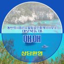 동탄역리슈빌공인중개사사무소 이미지