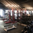 ELITE FIT 24 이미지