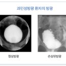 이과수 비뇨기과