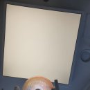 인터서울치과의원 이미지