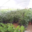 보경농장 이미지