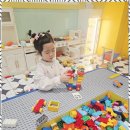 경희대박사 참태권도장 이미지