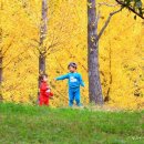 은행약수터 이미지