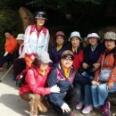 KNT직업전문학교