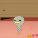 하이꼬꼬 이미지