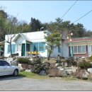 강운식당 이미지