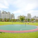 운정건강공원 축구장 이미지