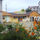 선일식당 이미지