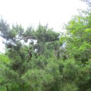 남목초등학교 이미지