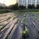 읍내9리 마을회관 이미지