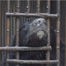 장서농장 이미지