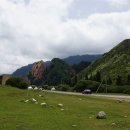 붉은황소 이미지