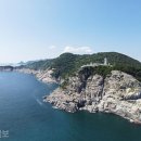 무궁화로 이미지