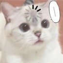 메트로재활의학과의원 네이버블로그