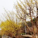 베어팜(주)