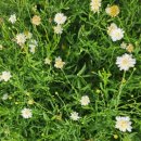 늘을1로 이미지