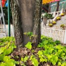 임곡중학교 이미지