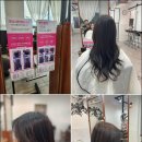 가정헤어 | 루원시티미용실, 새로운 헤어스타일 변신은 이곳에서! 라라비긴헤어 가정점 방문 후기