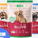 올리브펫 이미지