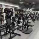 대전 스트렝스 | 대규모 헬스장 엑스바디 체형분석 싸이벡스, 헤머스트렝스, 부티빌더, 무브먼트, 짐80, 라이프휘트니스