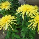 동래원예고등학교 이미지