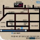 레몬트리 이미지