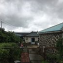 빈티지제주 | 제주 동쪽 구좌 빈티지샵 제주곳집 방문 및 내돈내산 후기