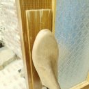 슈만과클라라 이미지