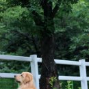 스테이 아델 이미지