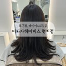 원정 스카이팰리스 오피스텔 | 부스스해진 젤리펌, 진주 평거동 미용실 이가자헤어비스 바다쌤이 새생명 하사하심 ო̤̮