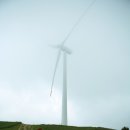 강릉목장 이미지