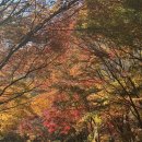 파티엔썬셋모텔펜션 | 정읍 내장산 가족여행 버킷리스트 펜션 내 돈 내산 후기