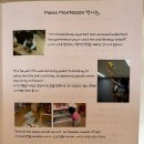 한스몬테소리활동공작소 네이버블로그