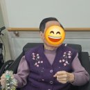 다온하루