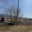 기북농장 이미지