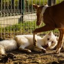 미소지은농장 이미지