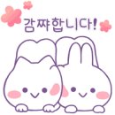 진월면 선소정류장 이미지