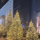 국밥클라쓰&냉면 | [육전국밥 신촌점] 홍대점보다 맛있다고? 육전&amp;물막국수&amp;별빛 청하 조합! 기분 UP🌟