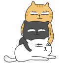 진심 이미지