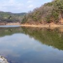 서리지 生態水邊公園 봄소식 ＜대구광역시 북구 동호동＞ 20/03/01 이미지