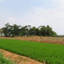 화수리농장 이미지