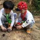 성우유치원 이미지